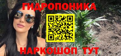 МДПВ Будённовск