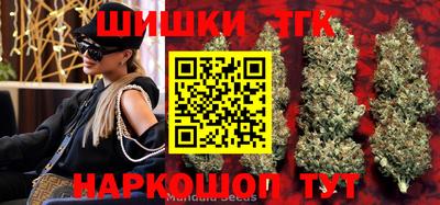 МДПВ Будённовск