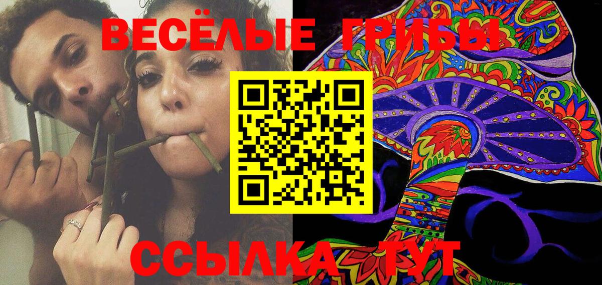 Нальчик  Галлюциногенные грибы Psilocybine cubensis  продажа наркотиков  Вход с VPN  Галлюциногенные грибы MAGIC MUSHROOMS 